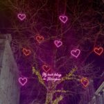 My Heart Belongs in Birmingham - Jack Quoor