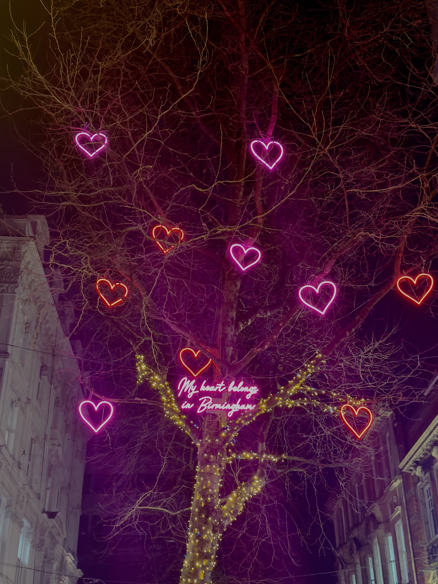 boardingarea.com - Kevincm - Last Week at Economy Class and Beyond (14th February) - Economy Class & Beyond