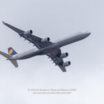 Lufthansa Airbus A340-600 - Image, Economy Class and Beyond