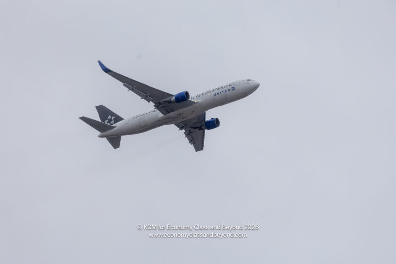 Star Alliance Logojet - United Boeing 767-300ER