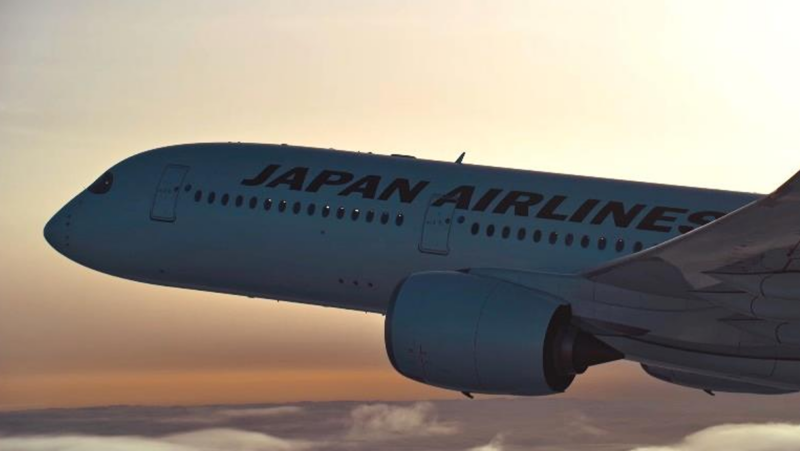Japan Airlines Airbus A350 - Image, JAL