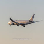 United Airlines Boeing 787-8 on finals to Chicago O'Hare - Image, Economy Class and Beyond